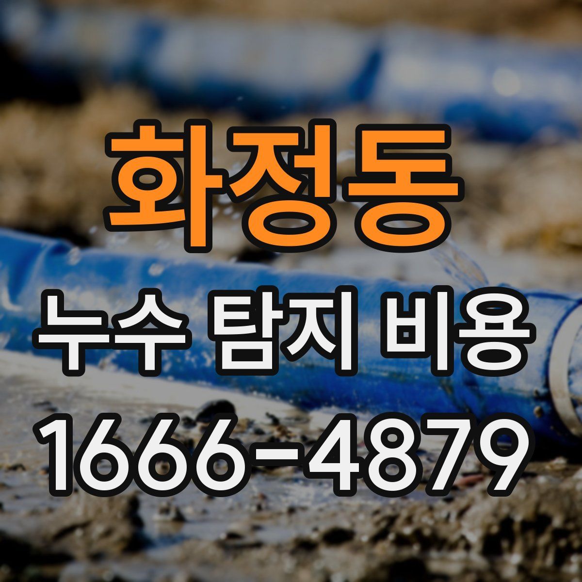 화정동 누수 탐지 비용