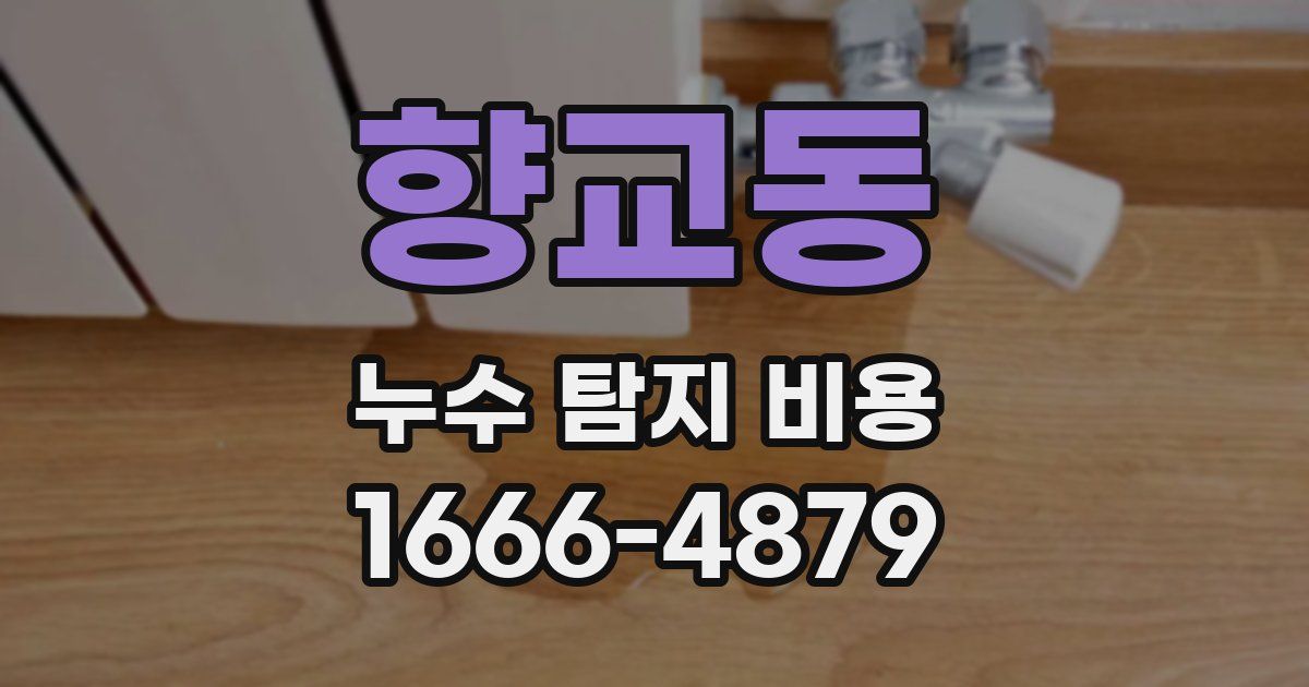 향교동 누수 탐지 비용