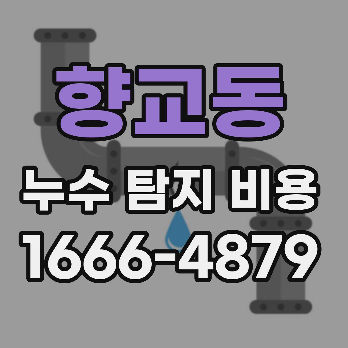 향교동 누수 탐지 비용