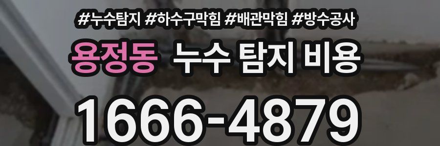 용정동 누수 탐지 비용