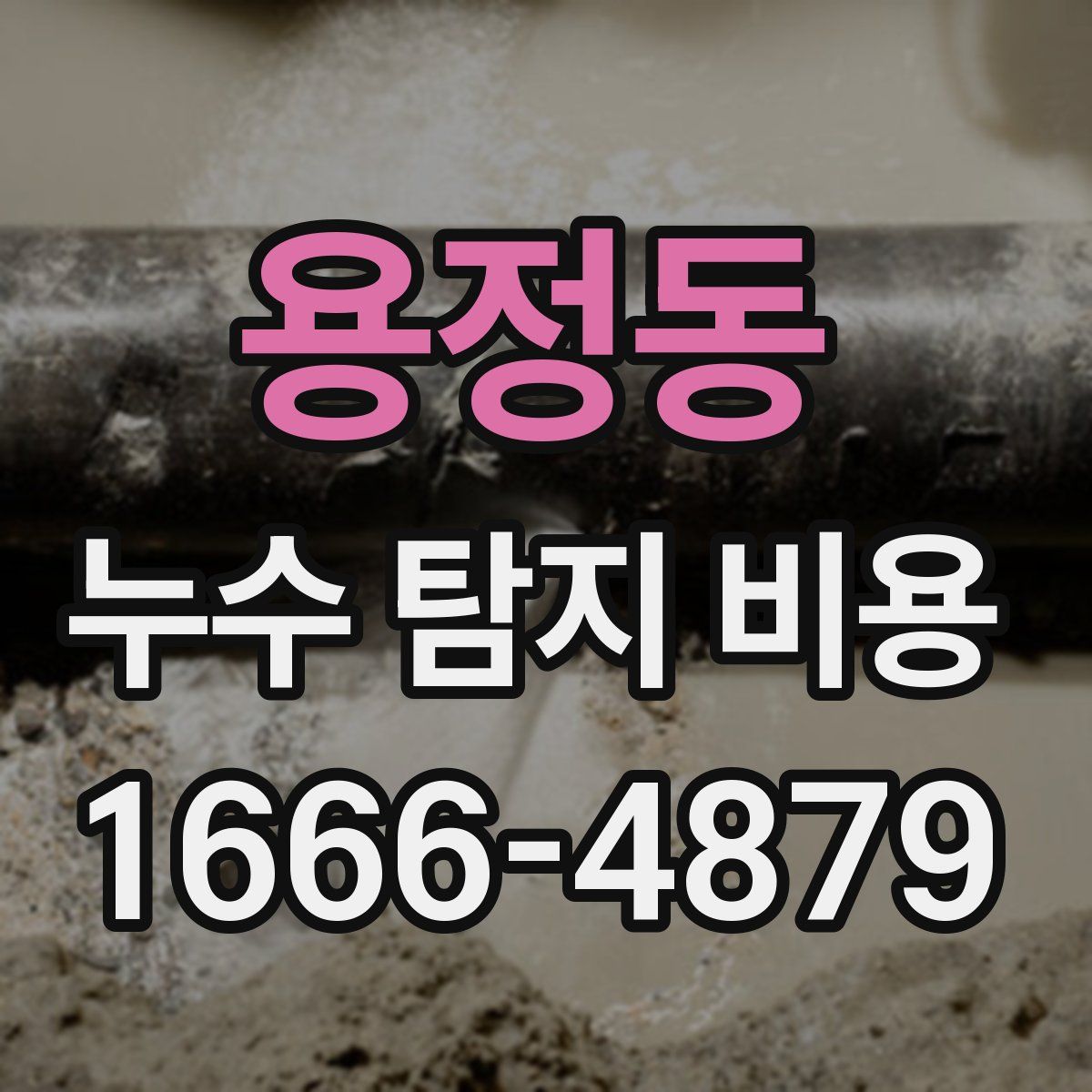 용정동 누수 탐지 비용