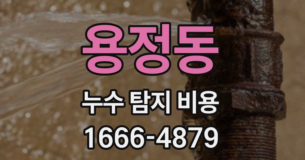 용정동 누수 탐지 비용