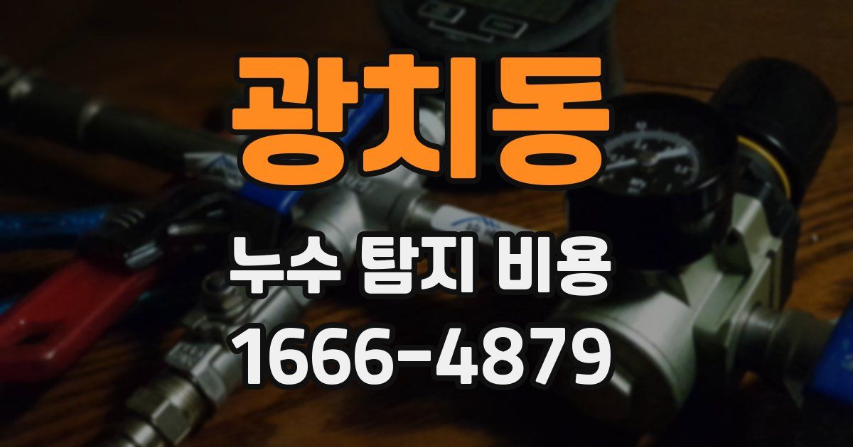 광치동 누수 탐지 비용