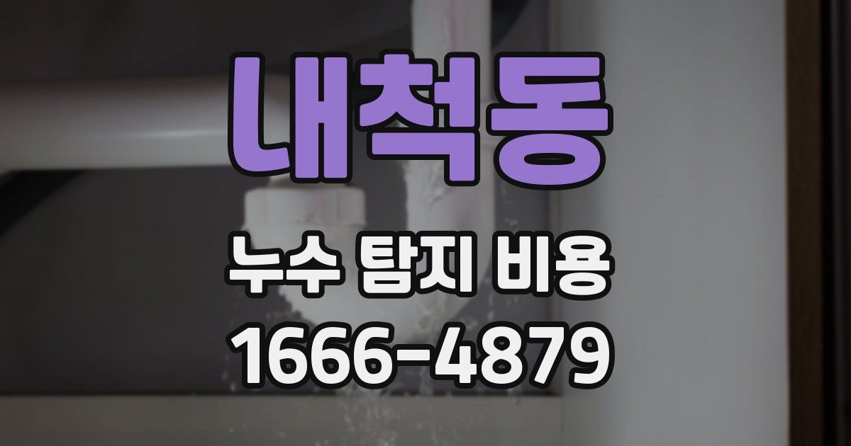 내척동 누수 탐지 비용