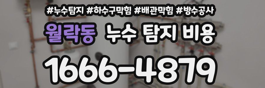 월락동 누수 탐지 비용
