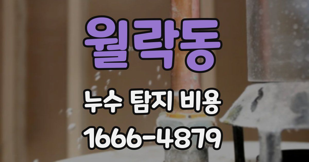 월락동 누수 탐지 비용