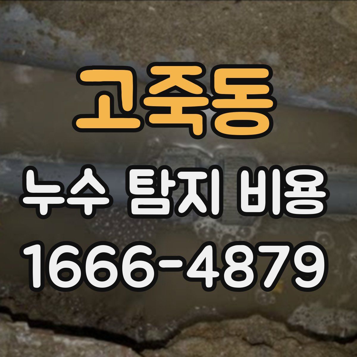 고죽동 누수 탐지 비용