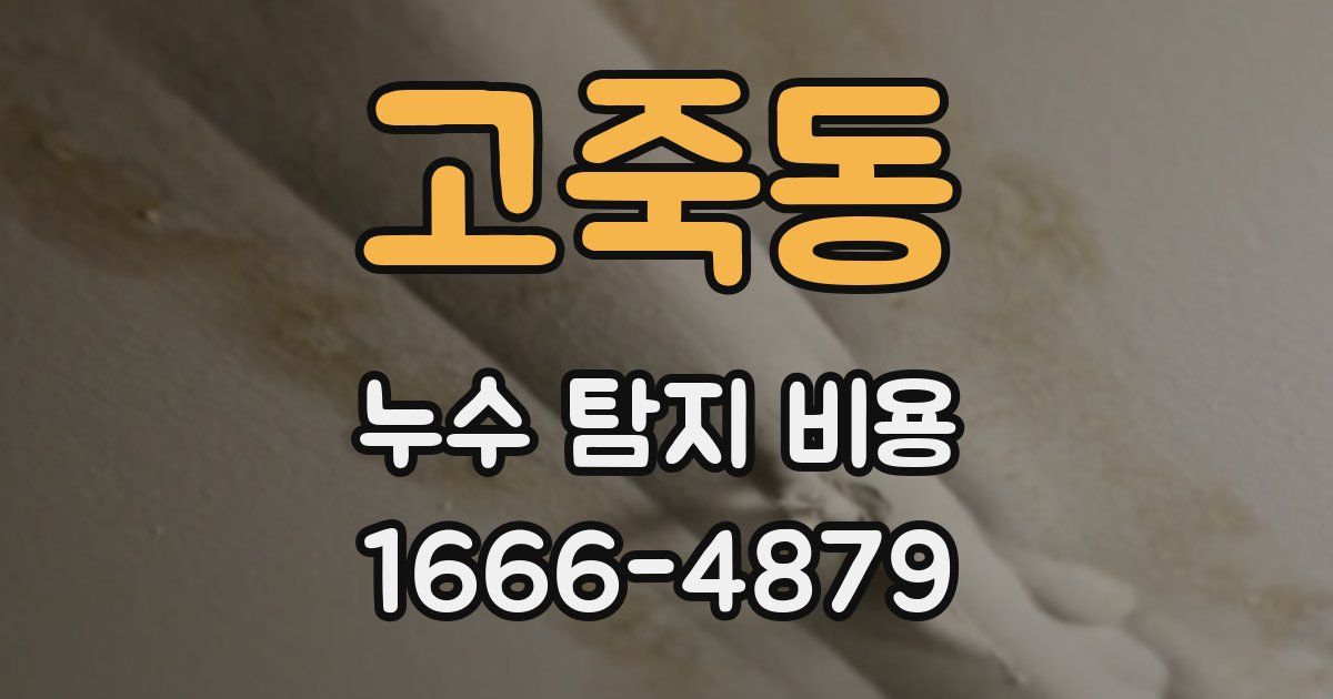 고죽동 누수 탐지 비용