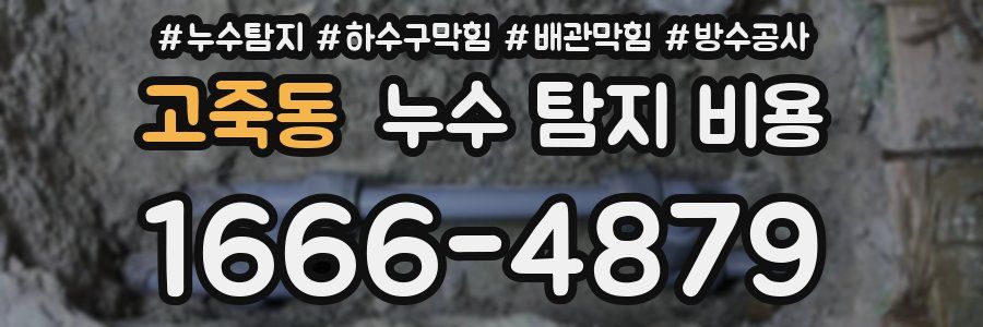 고죽동 누수 탐지 비용