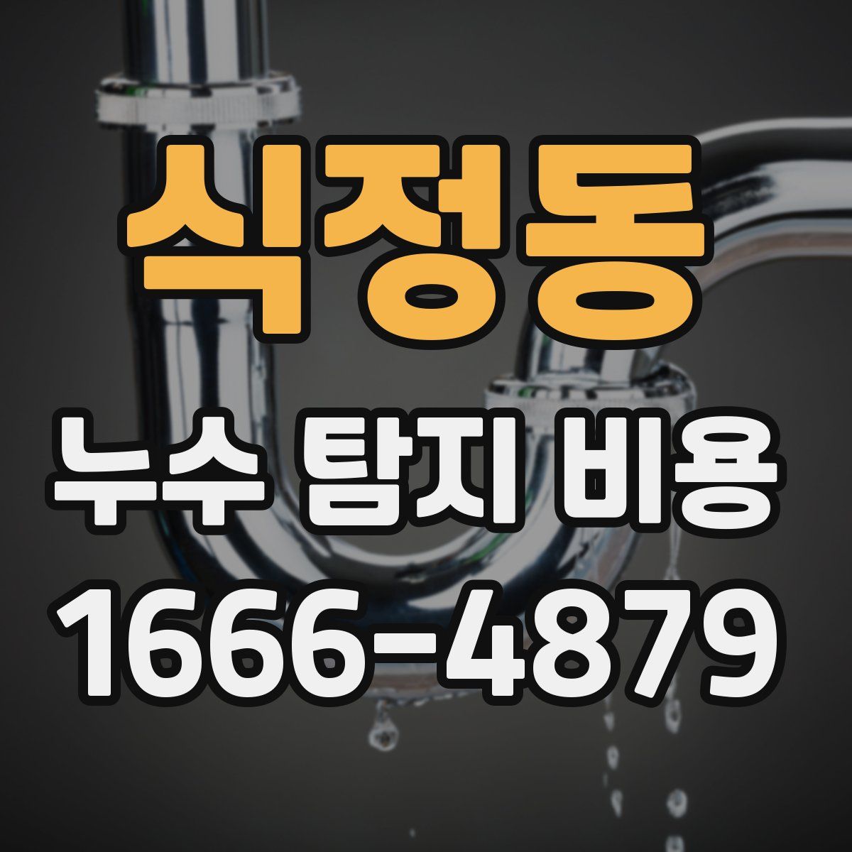 식정동 누수 탐지 비용