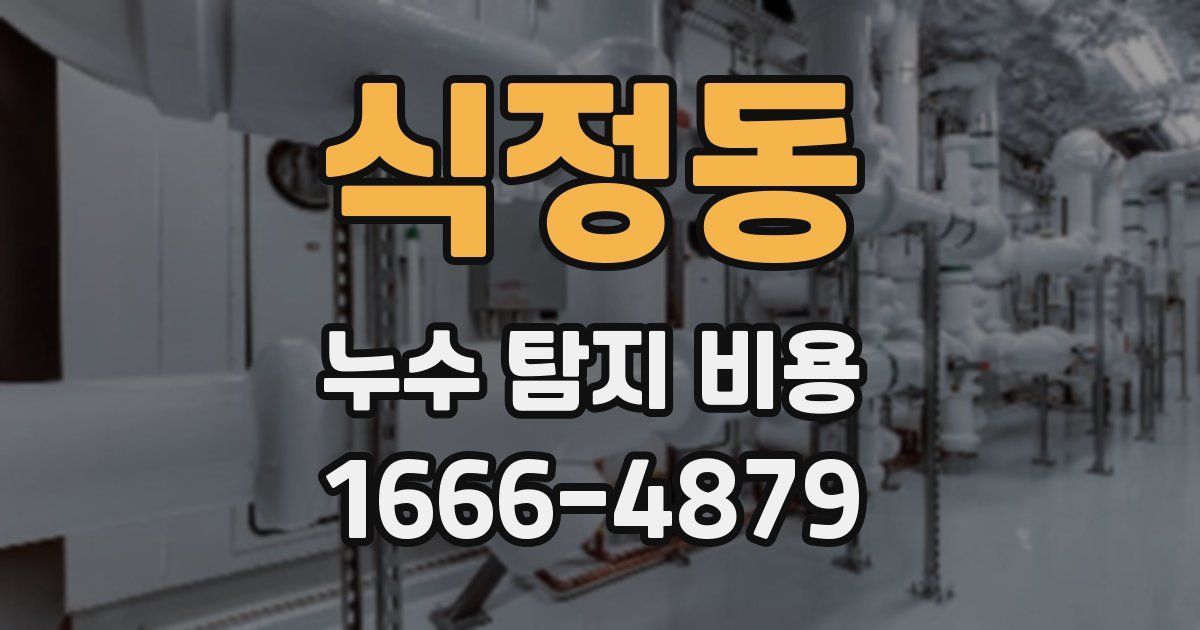 식정동 누수 탐지 비용