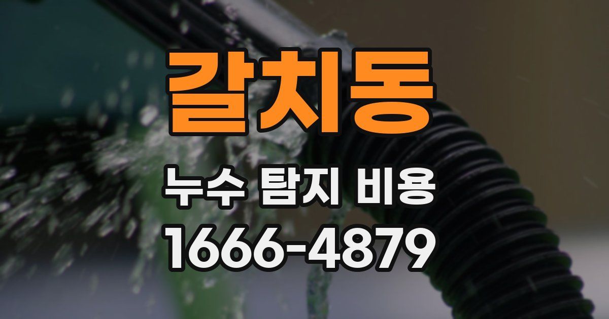 갈치동 누수 탐지 비용