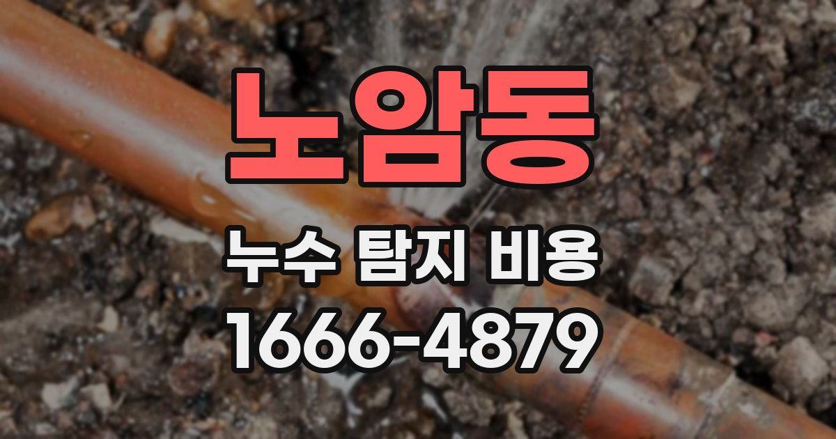 노암동 누수 탐지 비용