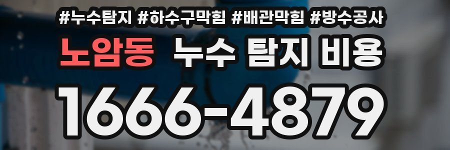 노암동 누수 탐지 비용