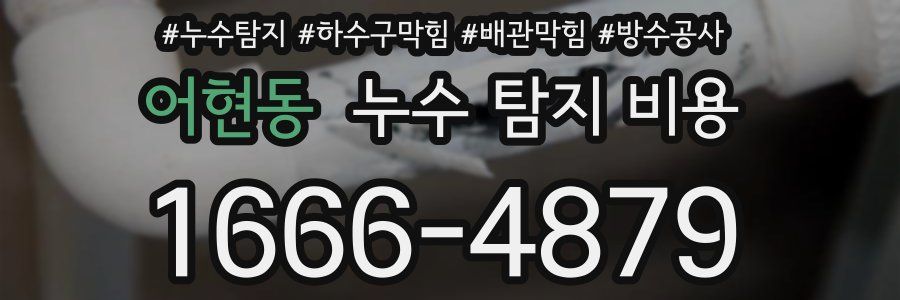 어현동 누수 탐지 비용