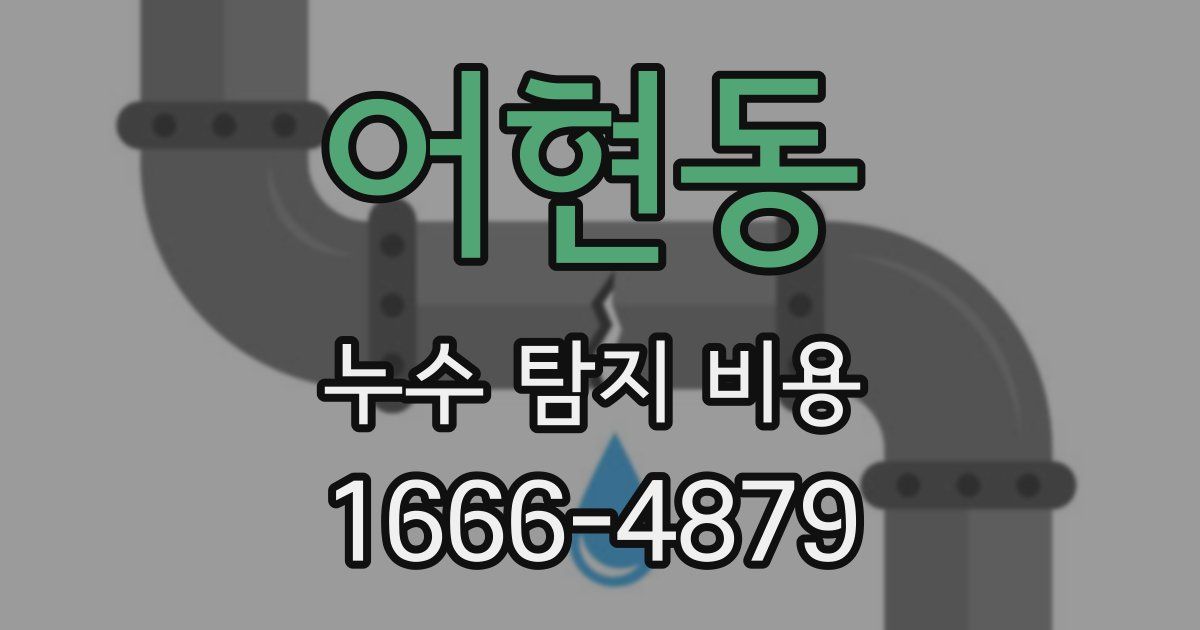 어현동 누수 탐지 비용