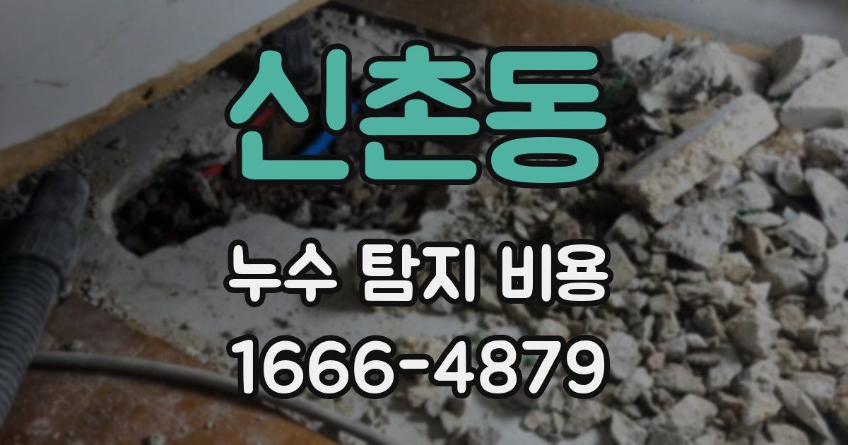 신촌동 누수 탐지 비용