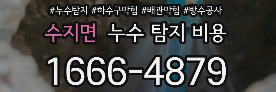 수지면 누수 탐지 비용