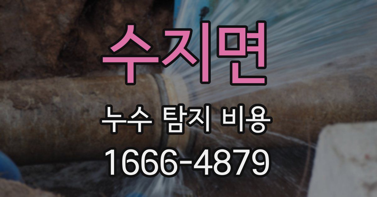 수지면 누수 탐지 비용