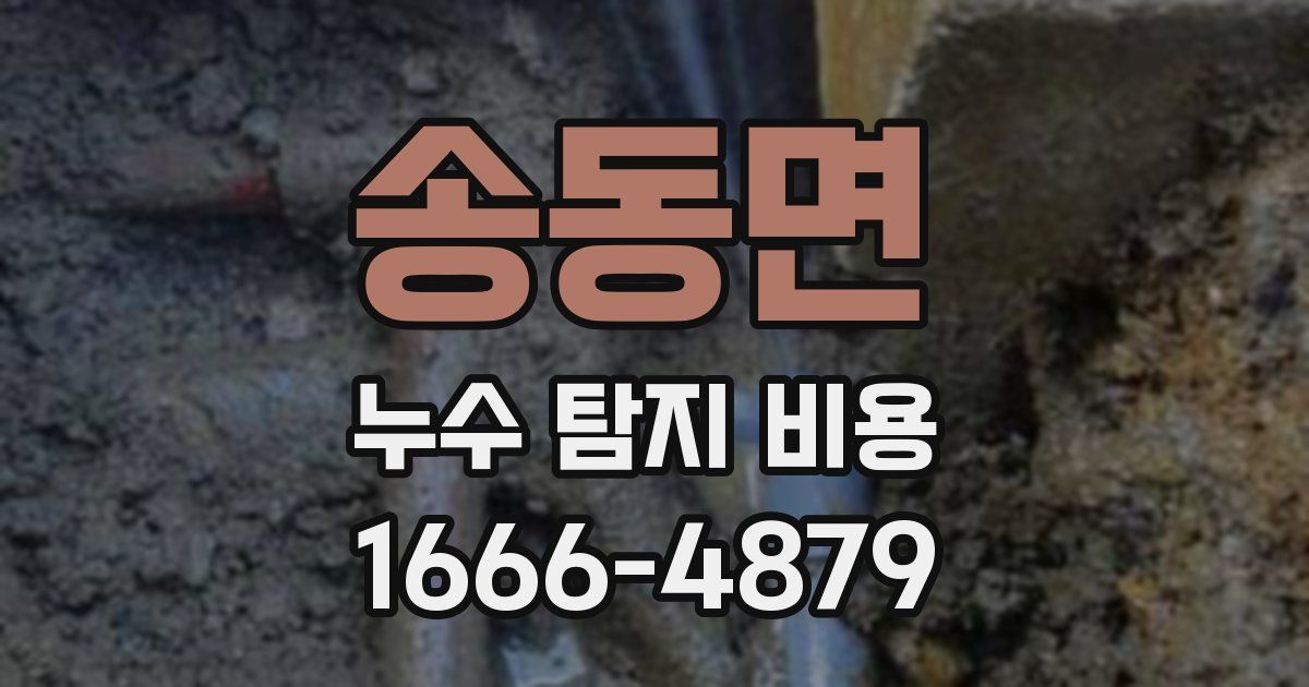 송동면 누수 탐지 비용