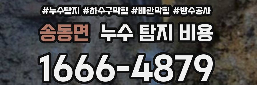 송동면 누수 탐지 비용