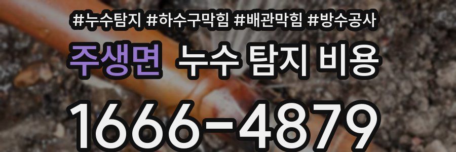주생면 누수 탐지 비용