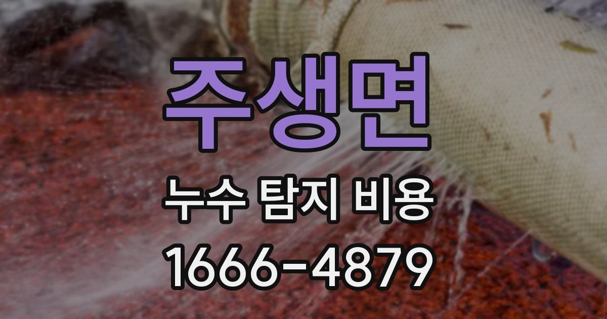 주생면 누수 탐지 비용