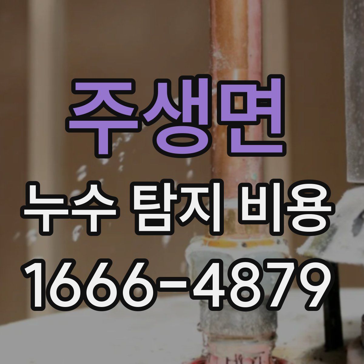 주생면 누수 탐지 비용