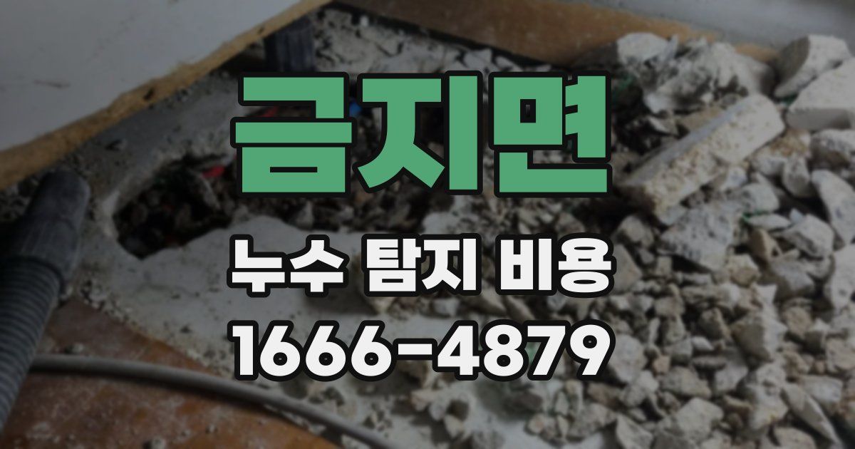 금지면 누수 탐지 비용