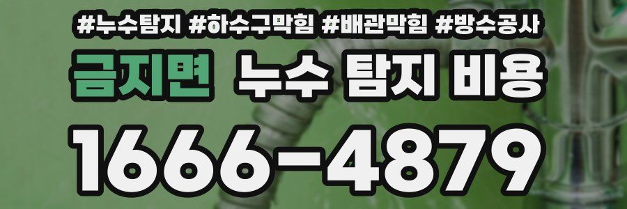 금지면 누수 탐지 비용