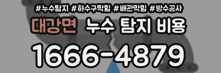 대강면 누수 탐지 비용