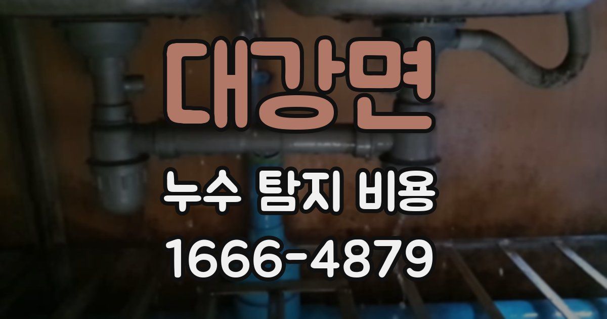 대강면 누수 탐지 비용