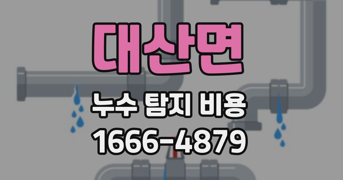 대산면 누수 탐지 비용