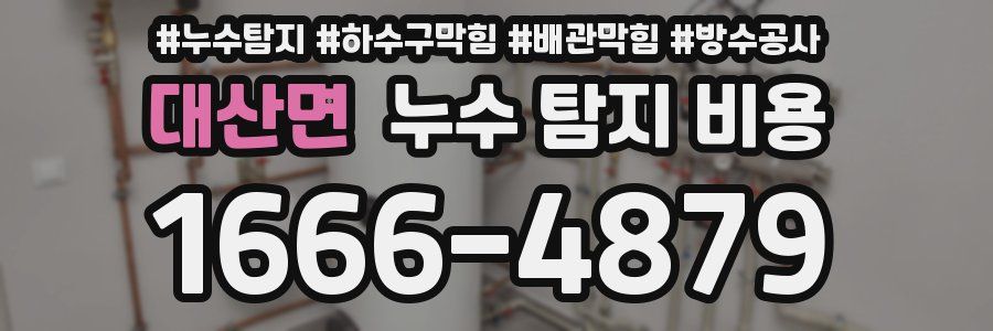 대산면 누수 탐지 비용