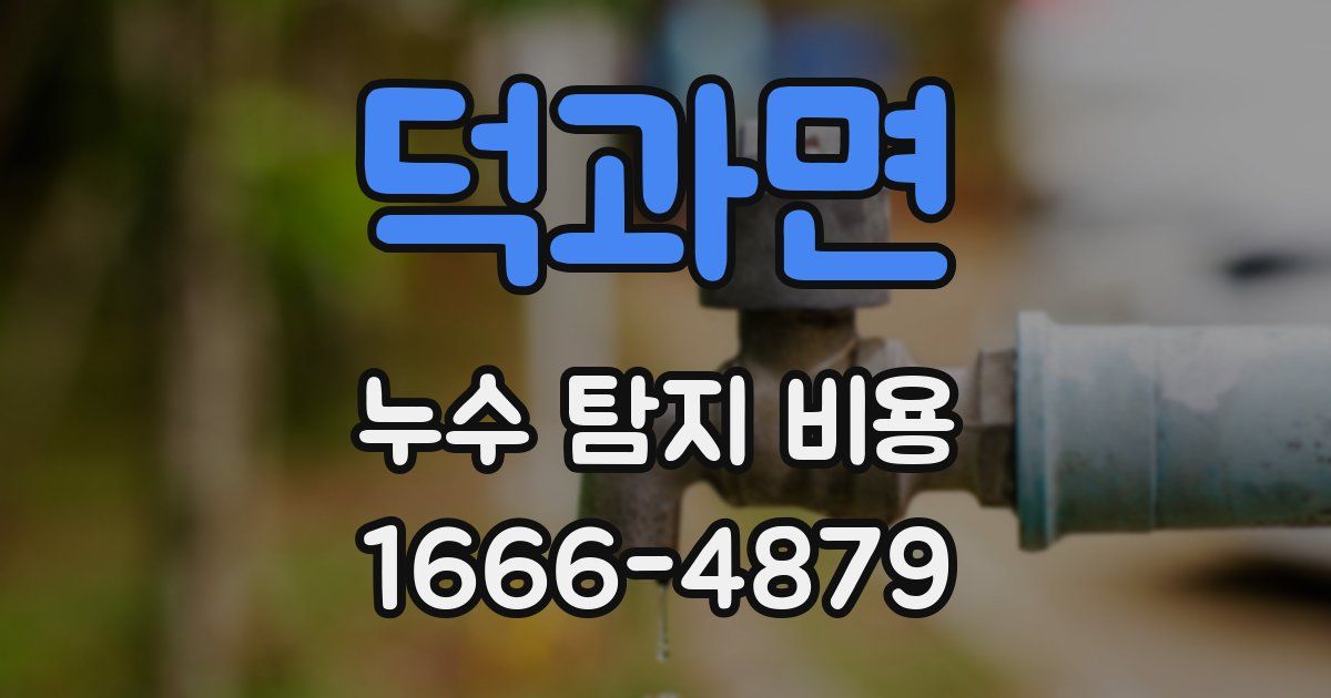덕과면 누수 탐지 비용