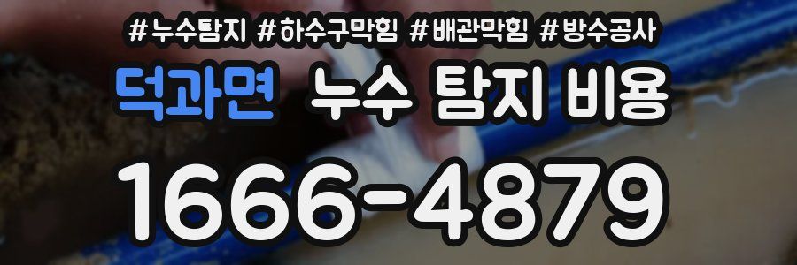 덕과면 누수 탐지 비용