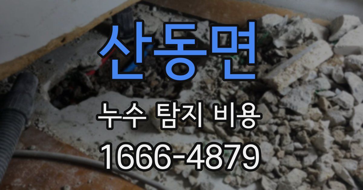 산동면 누수 탐지 비용