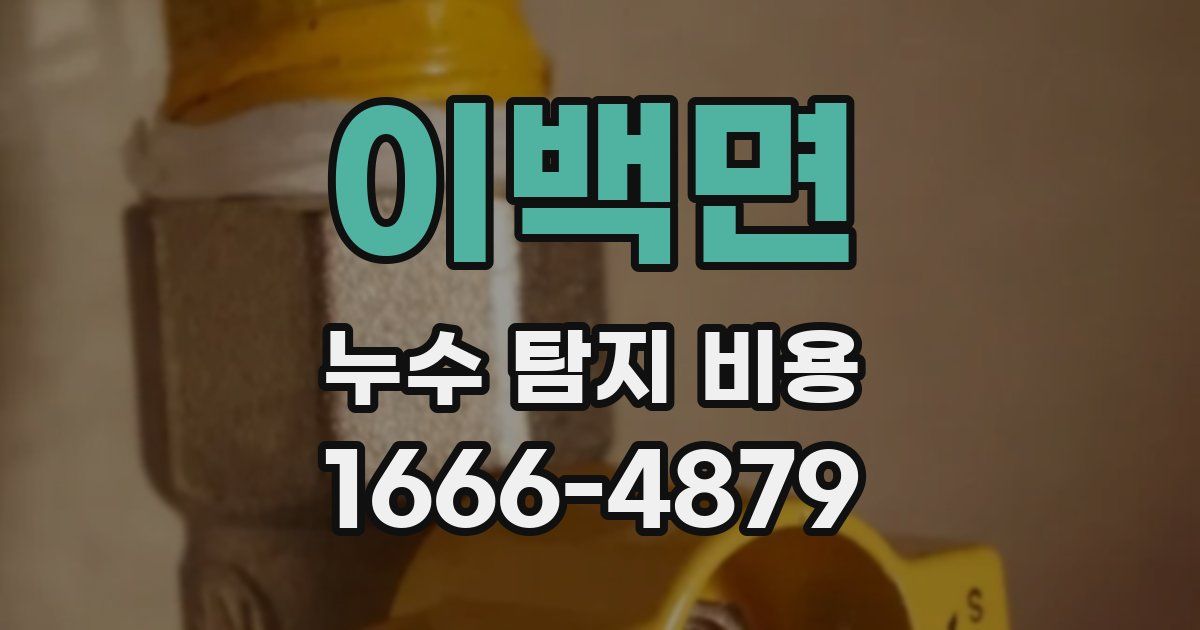 이백면 누수 탐지 비용