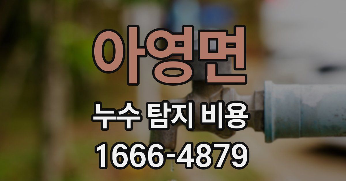 아영면 누수 탐지 비용