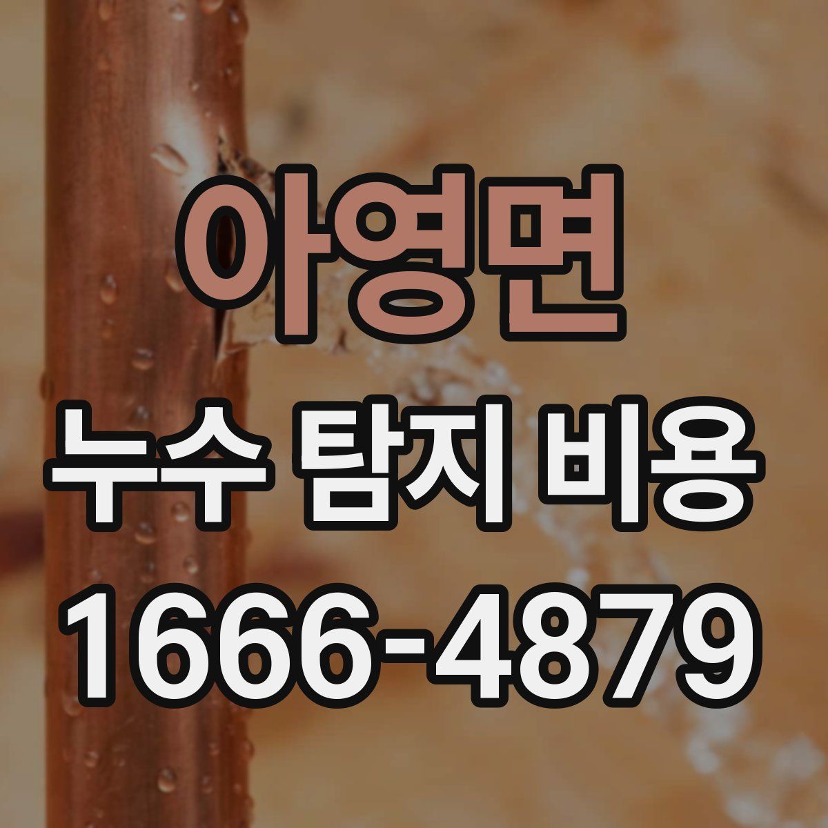 아영면 누수 탐지 비용