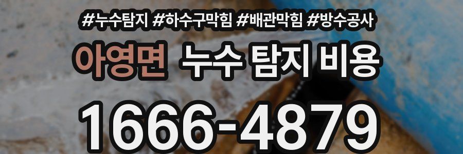 아영면 누수 탐지 비용