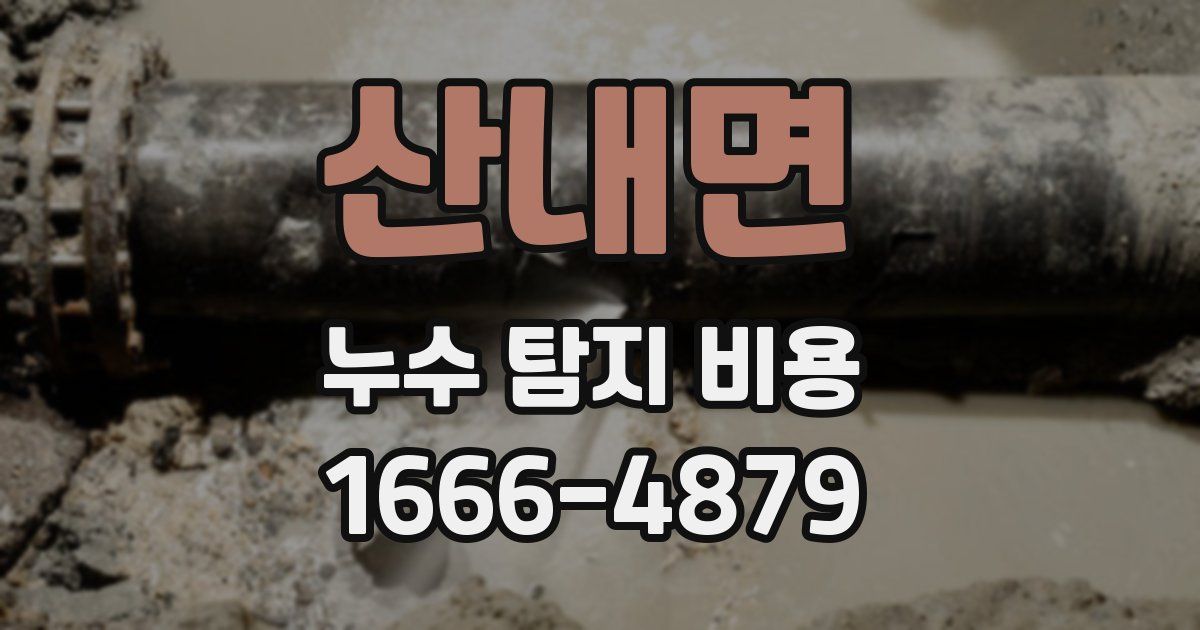 산내면 누수 탐지 비용
