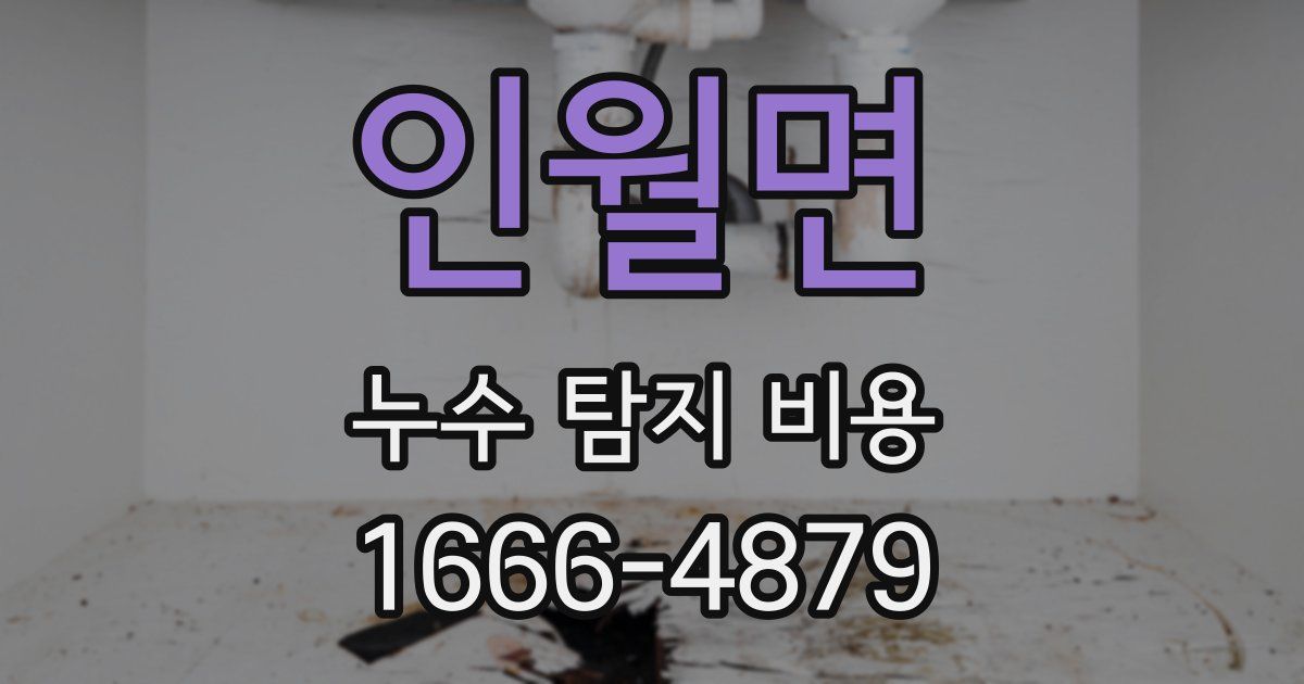 인월면 누수 탐지 비용