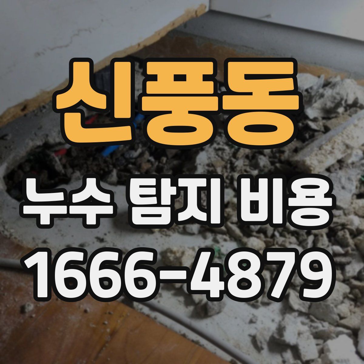 신풍동 누수 탐지 비용