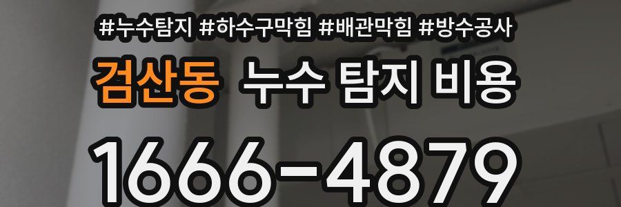 검산동 누수 탐지 비용