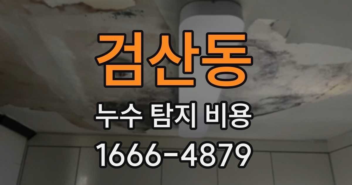 검산동 누수 탐지 비용