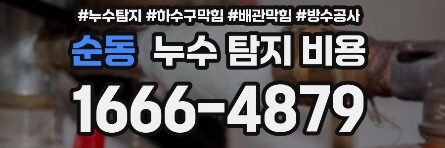 순동 누수 탐지 비용