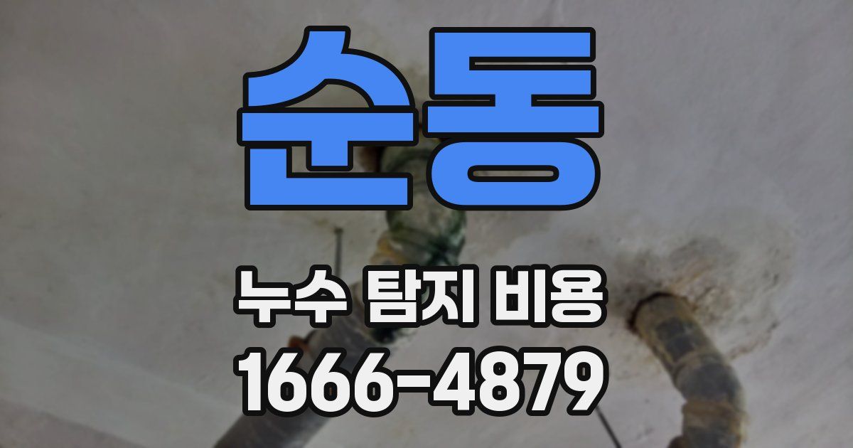 순동 누수 탐지 비용