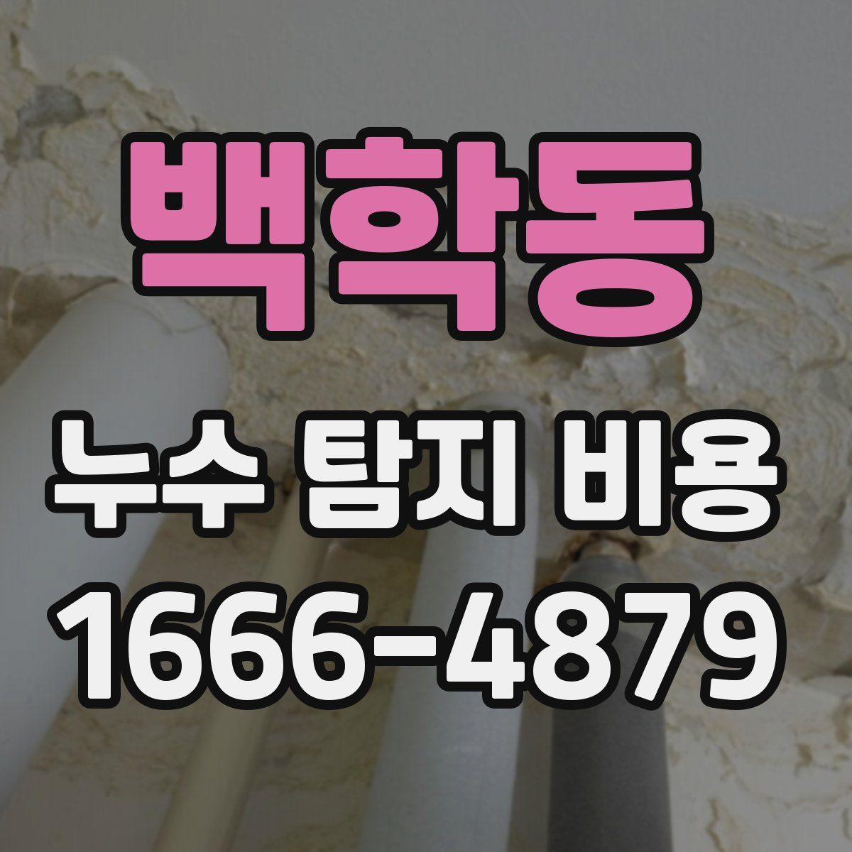 백학동 누수 탐지 비용