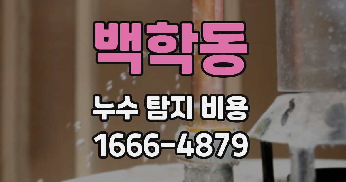 백학동 누수 탐지 비용